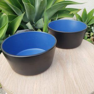 NEW Stone Lain 2 Bowls Stoneware Dinnerware Set Blue and Black Dishwasher and Mi